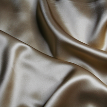 Load image into Gallery viewer, Champagne Pillowcase